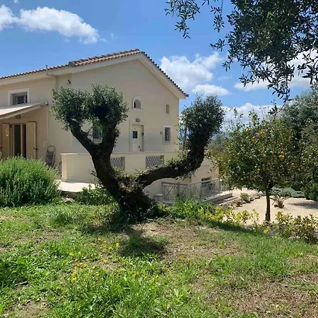 Apartment Agraria 1 Bedroom Basement *