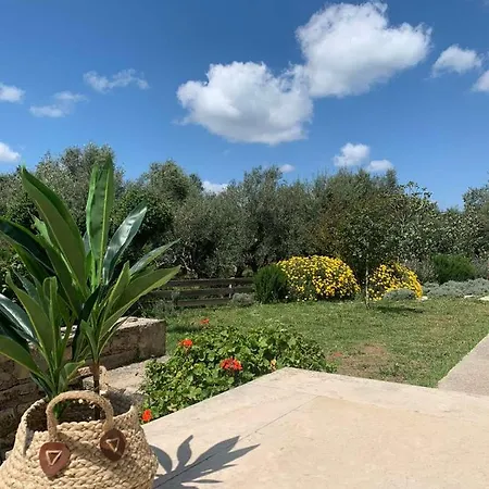 Agraria 1 Bedroom Basement Apartment *